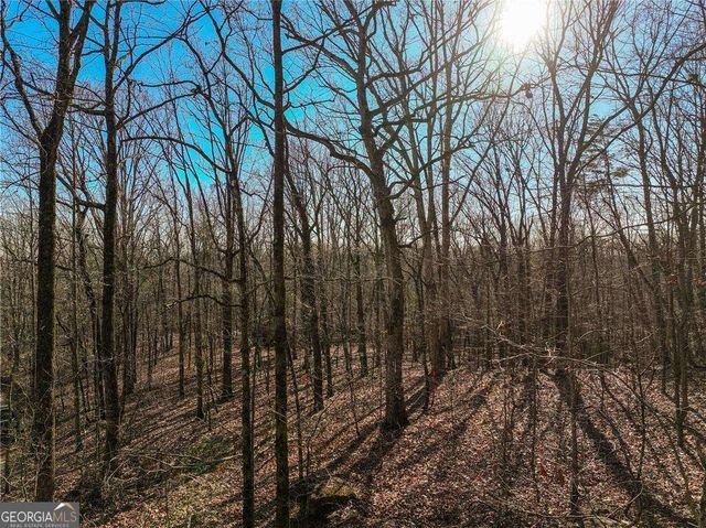 LOT 11 Mount Mincie Road, Murrayville, GA 30564