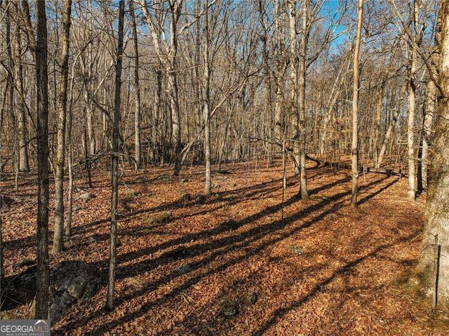 LOT 11 Mount Mincie Road, Murrayville, GA 30564