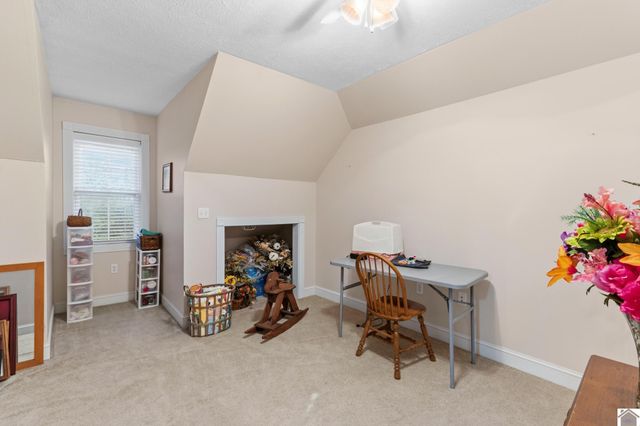 113 Clubhouse Drive, Ledbetter, KY 42058
