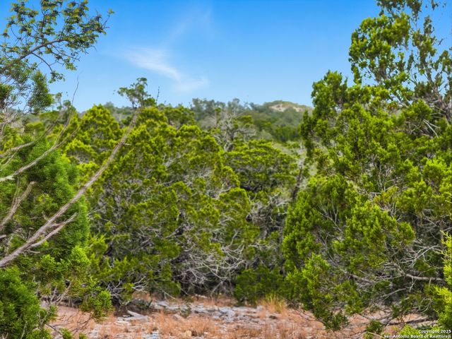 TRACT 22B Bluff Creek Ranch, Rocksprings, TX 78880