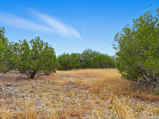 TRACT 22B Bluff Creek Ranch, Rocksprings, TX 78880