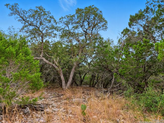 TRACT 22B Bluff Creek Ranch, Rocksprings, TX 78880