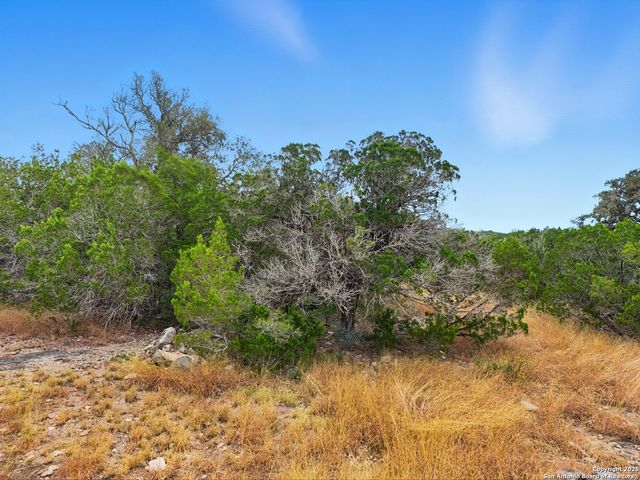 TRACT 22B Bluff Creek Ranch, Rocksprings, TX 78880