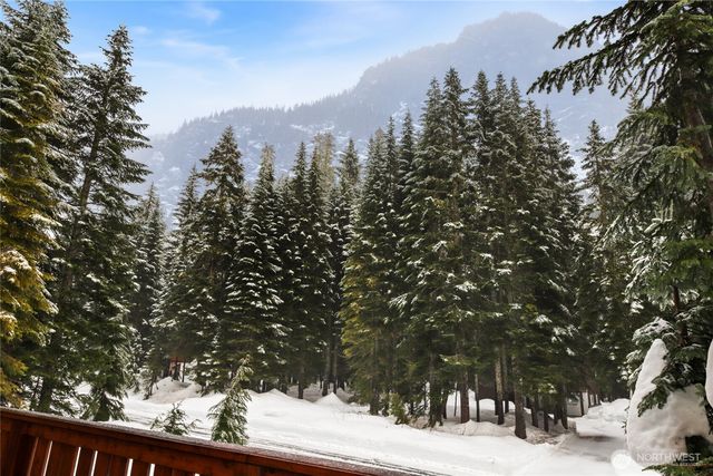 27 Alpental Strasse, Snoqualmie Pass, WA 98068