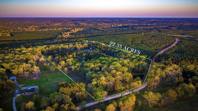 1327 Soda Loop E, Livingston, TX 77351