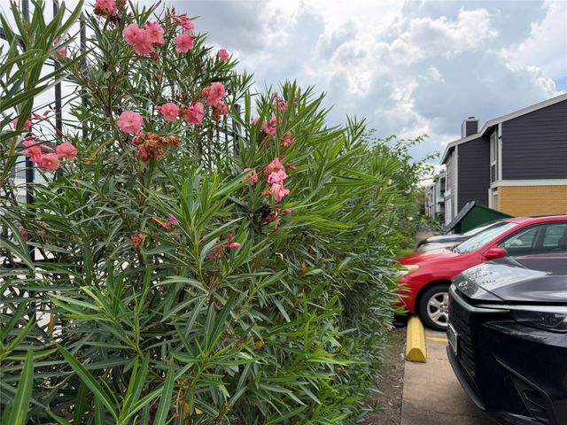 12619 Ashford Meadow Drive, Houston, TX 77082
