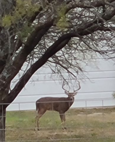 6000 Jackson Road, Krum, TX 76249