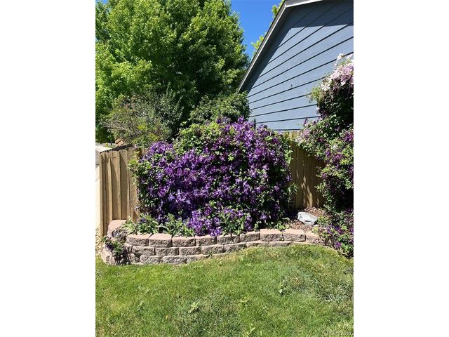 17605 Cornish Pl, Parker, CO 80134