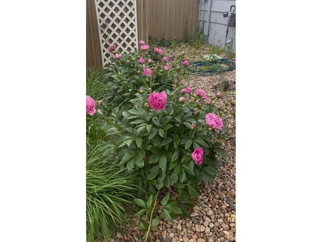 17605 Cornish Pl, Parker, CO 80134