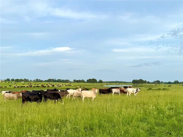 6642 Garhole View Lane, Bryan, TX 77808