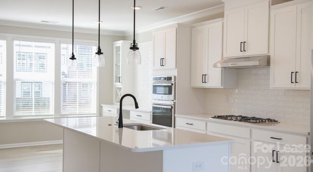 177 Reids Cove Carlow III, Mooresville, NC 28117