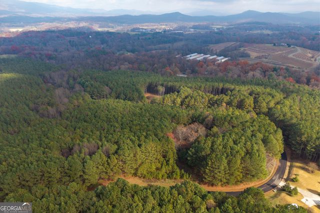 0 Foxpaw Leaf Lane LOT 20, Ellijay, GA 30536
