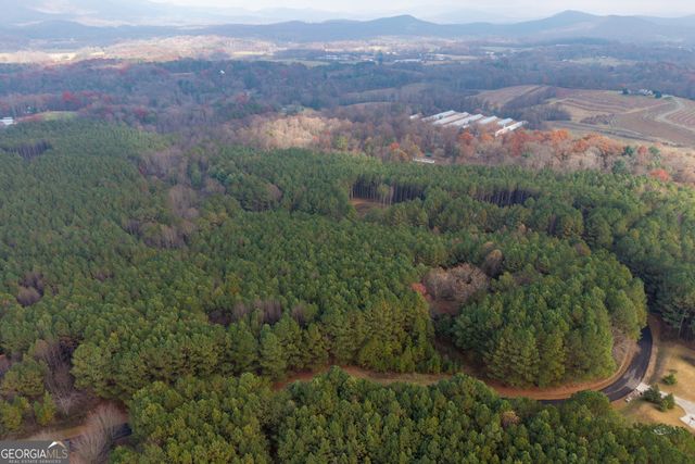 0 Foxpaw Leaf Lane LOT 20, Ellijay, GA 30536