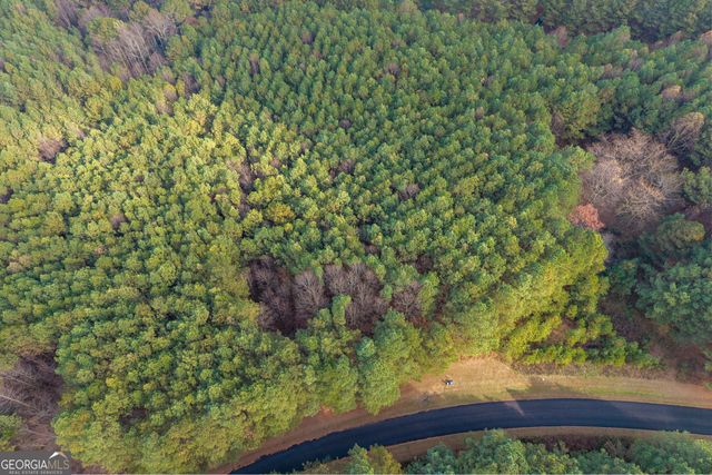 0 Foxpaw Leaf Lane LOT 20, Ellijay, GA 30536