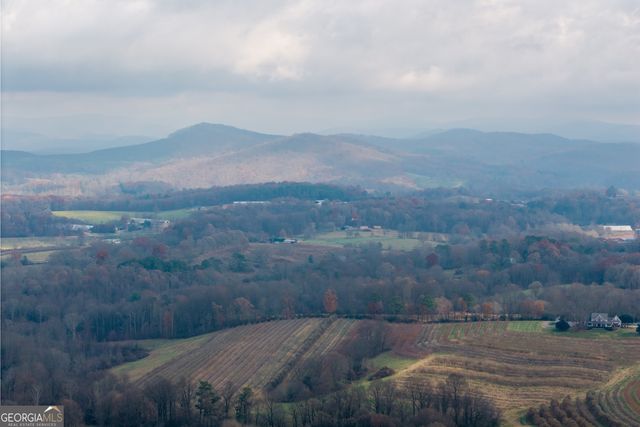 0 Foxpaw Leaf Lane LOT 20, Ellijay, GA 30536