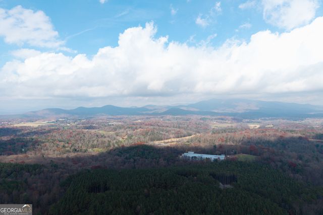 0 Foxpaw Leaf Lane LOT 20, Ellijay, GA 30536