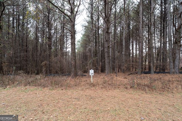 0 Foxpaw Leaf Lane LOT 20, Ellijay, GA 30536