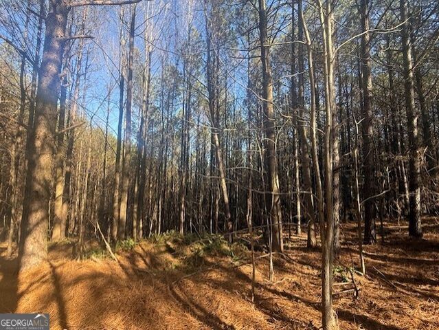 0 Foxpaw Leaf Lane LOT 20, Ellijay, GA 30536