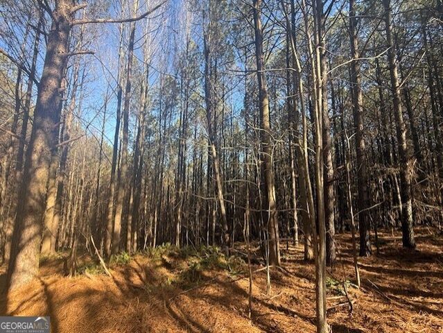 0 Foxpaw Leaf Lane LOT 20, Ellijay, GA 30536