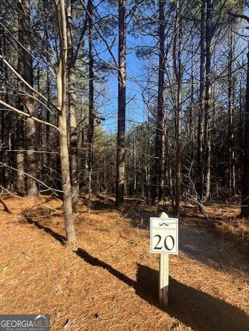 0 Foxpaw Leaf Lane LOT 20, Ellijay, GA 30536