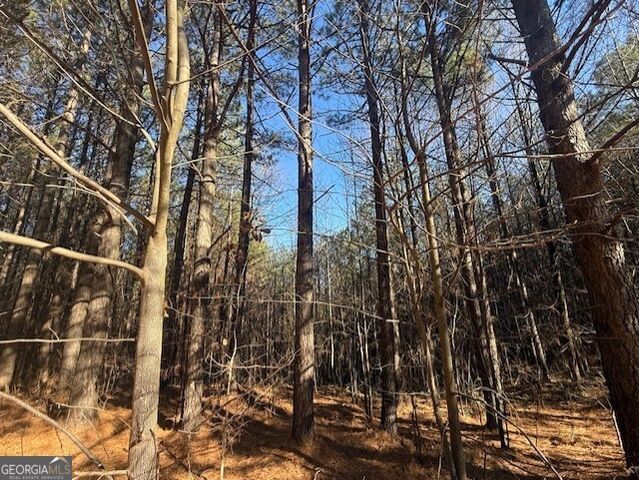 0 Foxpaw Leaf Lane LOT 20, Ellijay, GA 30536