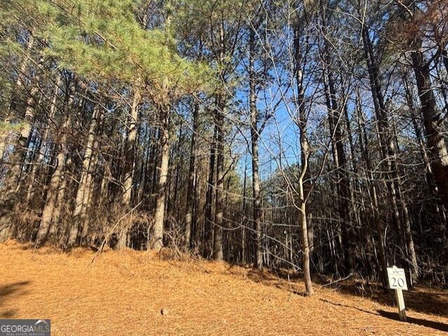 0 Foxpaw Leaf Lane LOT 20, Ellijay, GA 30536