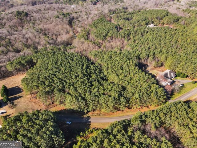 0 Foxpaw Leaf Lane LOT 20, Ellijay, GA 30536