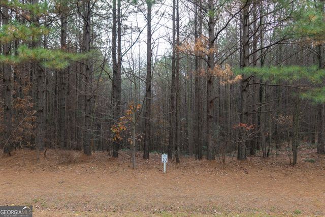 0 Foxpaw Leaf Lane LOT 20, Ellijay, GA 30536