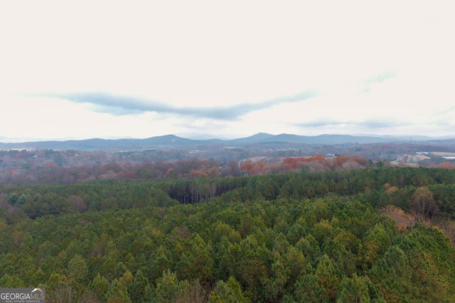 0 Foxpaw Leaf Lane LOT 20, Ellijay, GA 30536