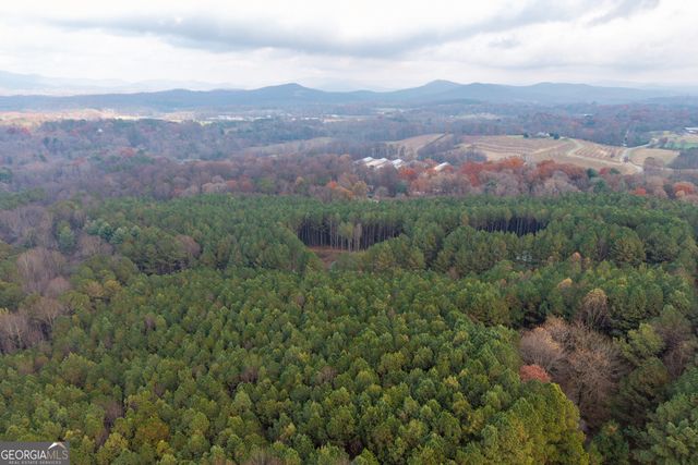 0 Foxpaw Leaf Lane LOT 20, Ellijay, GA 30536