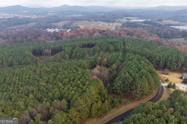 0 Foxpaw Leaf Lane LOT 20, Ellijay, GA 30536