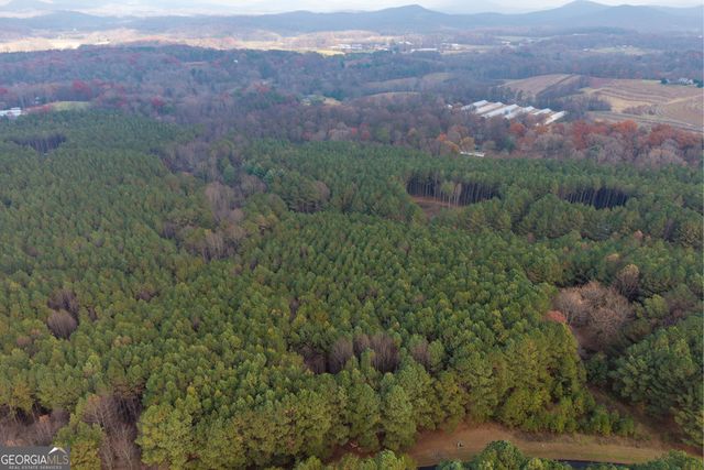 0 Foxpaw Leaf Lane LOT 20, Ellijay, GA 30536