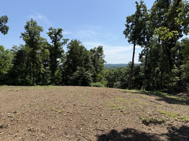 0 Joy, Mount Pleasant, TN 38474