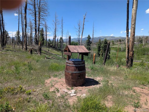 954 Forbes Park Road, Fort Garland, CO 81133