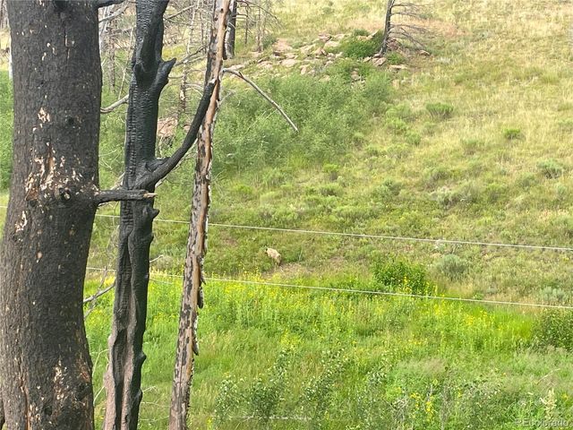 954 Forbes Park Road, Fort Garland, CO 81133