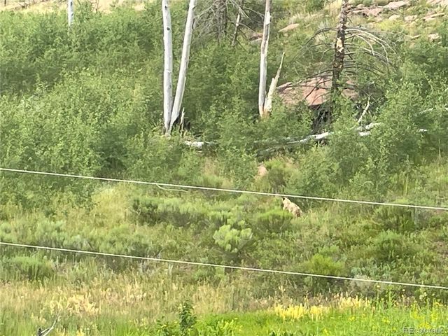954 Forbes Park Road, Fort Garland, CO 81133