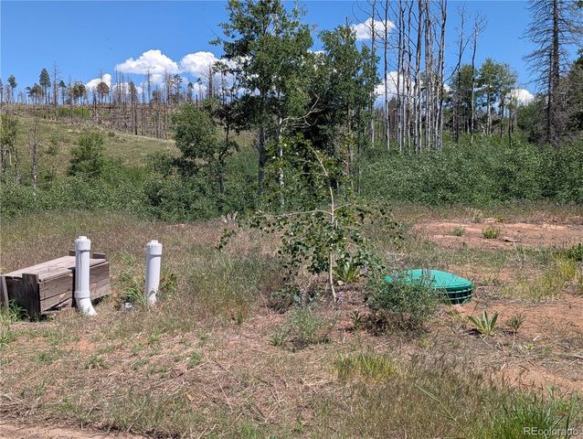 954 Forbes Park Road, Fort Garland, CO 81133