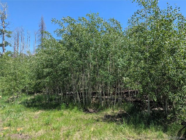 954 Forbes Park Road, Fort Garland, CO 81133