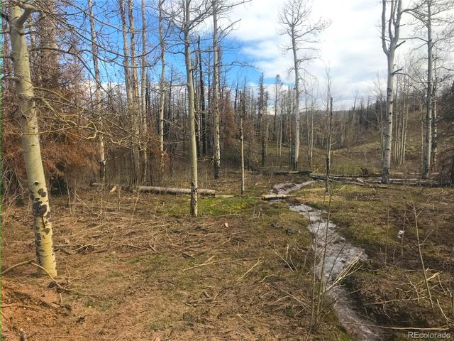 954 Forbes Park Road, Fort Garland, CO 81133