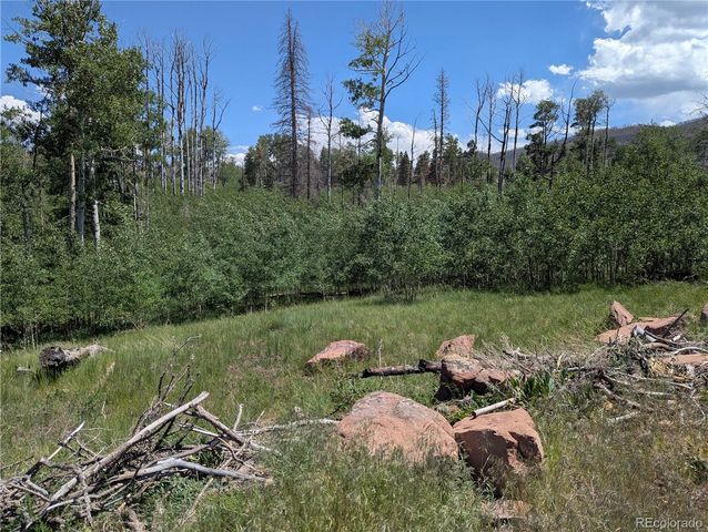 954 Forbes Park Road, Fort Garland, CO 81133