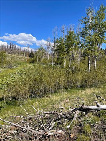 954 Forbes Park Road, Fort Garland, CO 81133