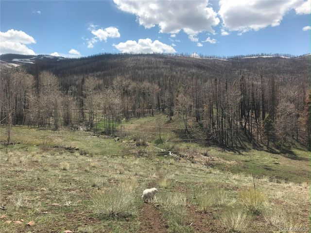 954 Forbes Park Road, Fort Garland, CO 81133