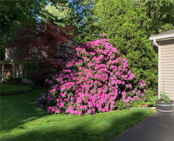 1100 Everwild View, Webster, NY 14580