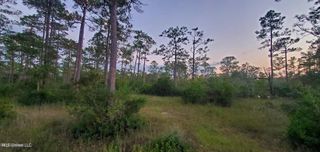 8317 Highway 57, Vancleave, MS 39565
