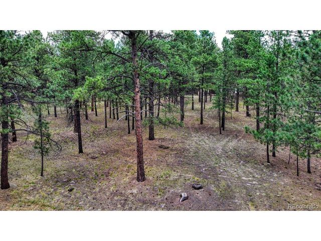9950 Pine Park Trl, Colorado Springs, CO 80908