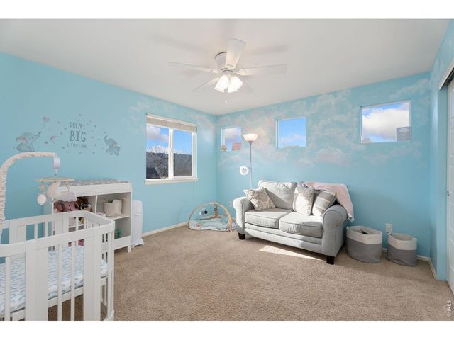 2084 Bayfront Dr, Windsor, CO 80550