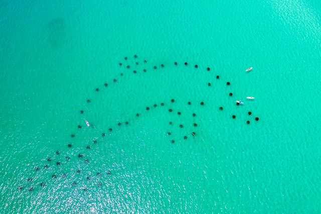 63 Wadleigh Way, Miramar Beach, FL 32550