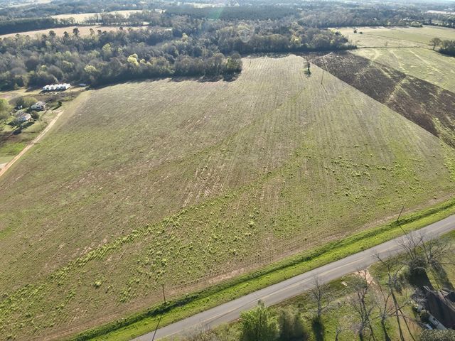 11.97 acres Omussee Road, Dothan, AL 36303