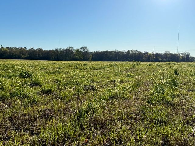 11.97 acres Omussee Road, Dothan, AL 36303