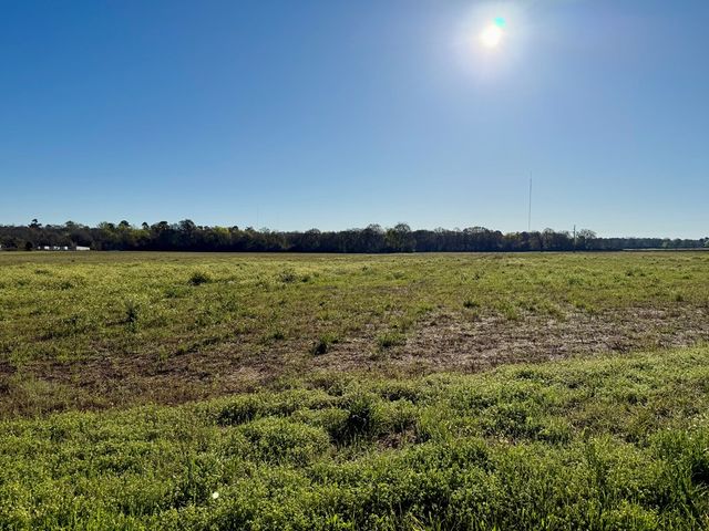 11.97 acres Omussee Road, Dothan, AL 36303
